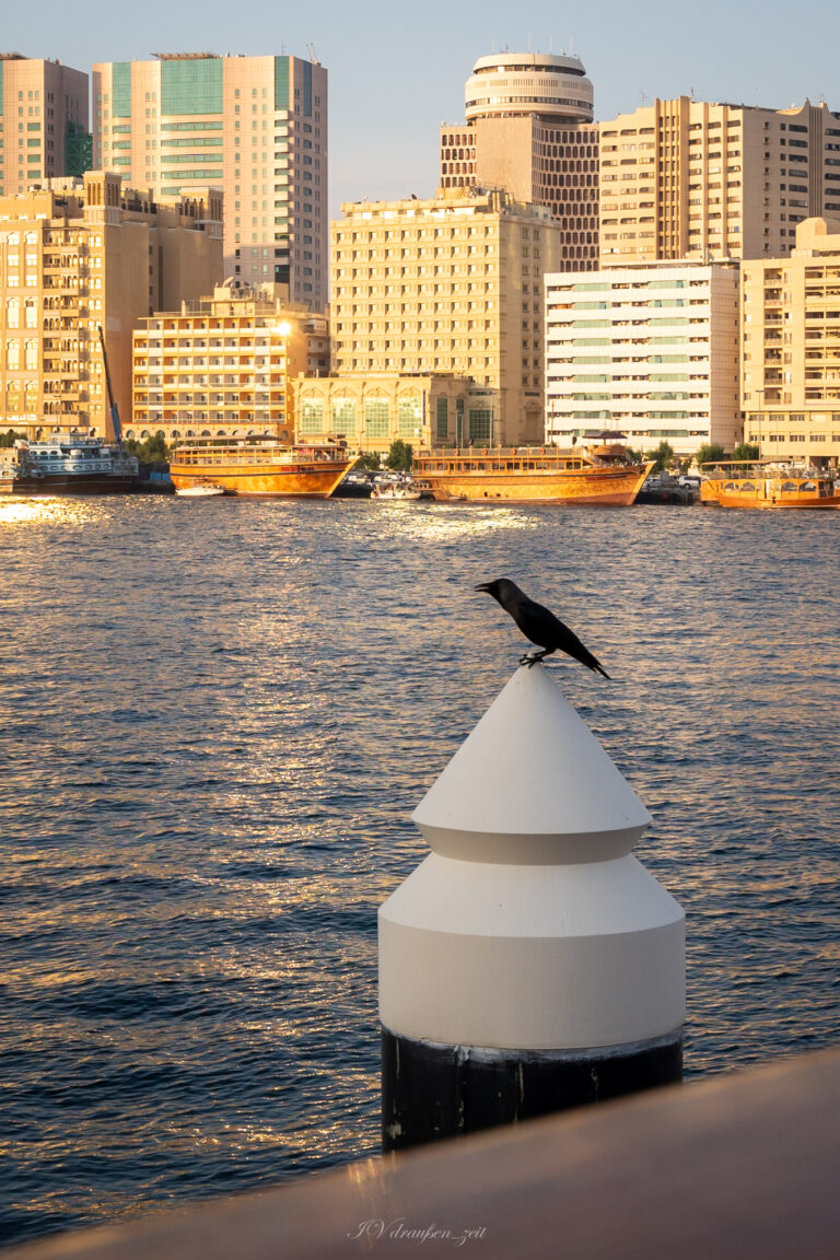 Bootsfahrt mit einem Dhau auf dem Dubai Creek