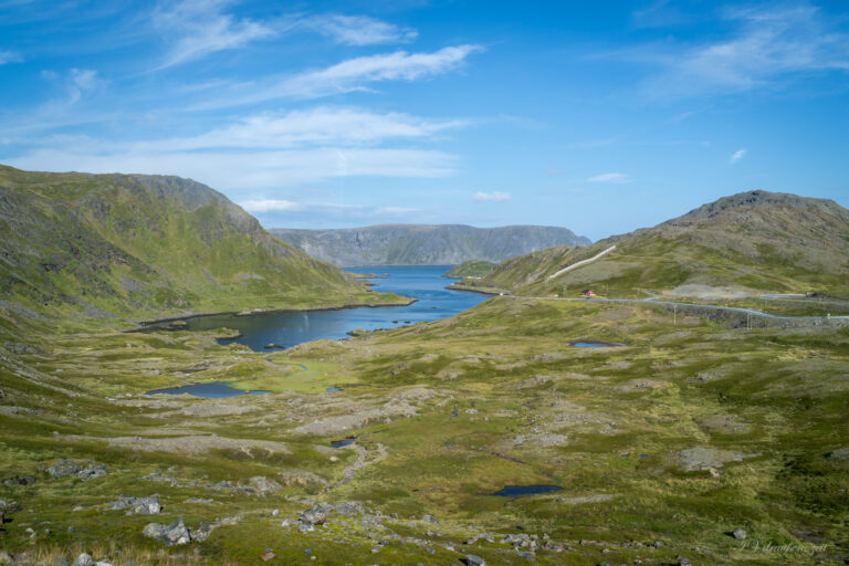 Die Landschaft wird immer karger